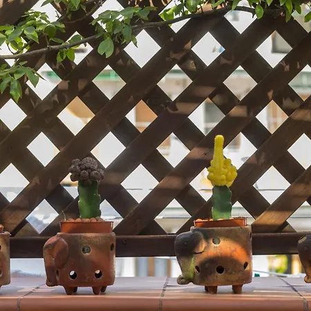 Διαμέρισμα Cerasiello - Charming *