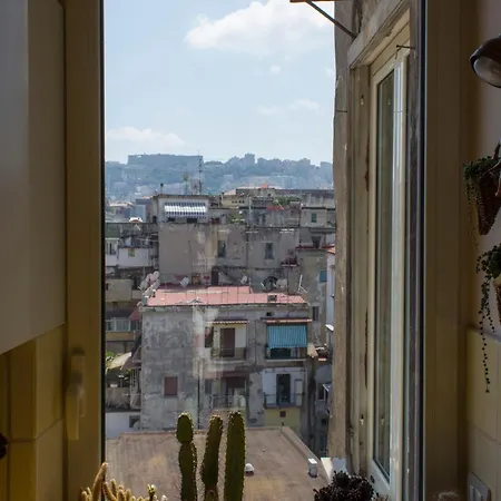 Cerasiello - Charming * Naples