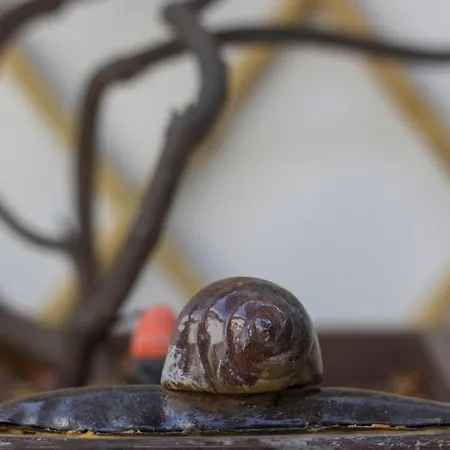 Cerasiello - Charming *