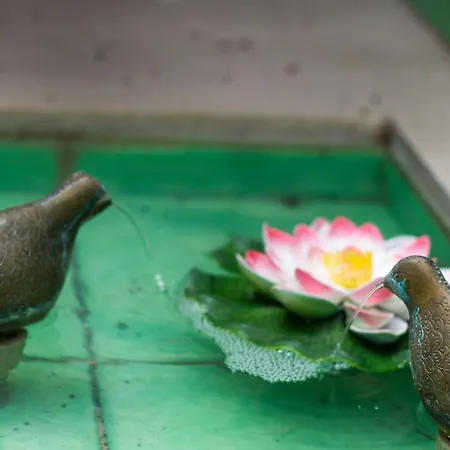 Cerasiello - Charming